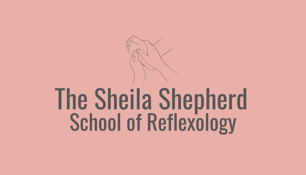 The Sheila Shepherd School of Reflexology - Professional reflexology training